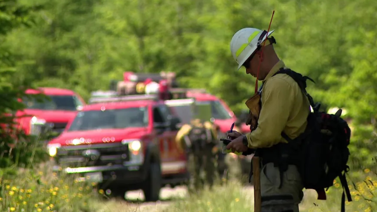 Firefighter in turnout gear with helmet checks a radio as red fire trucks respond on a forested rural road.