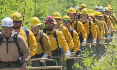 Line of wildland firefighters in yellow helmets and jackets marching through a forest with hand tools in their hands.