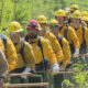Line of wildland firefighters in yellow helmets and jackets marching through a forest with hand tools in their hands.