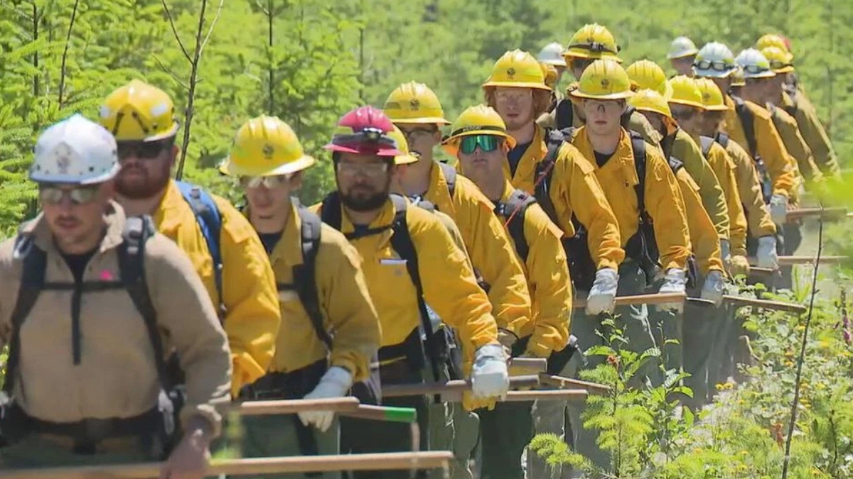 Line of wildland firefighters in yellow helmets and jackets marching through a forest with hand tools in their hands.