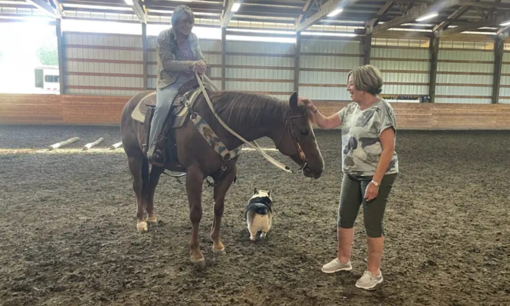 Woman on horseback in an indoor riding arena being greeted by another woman; a small dog sits nearby.