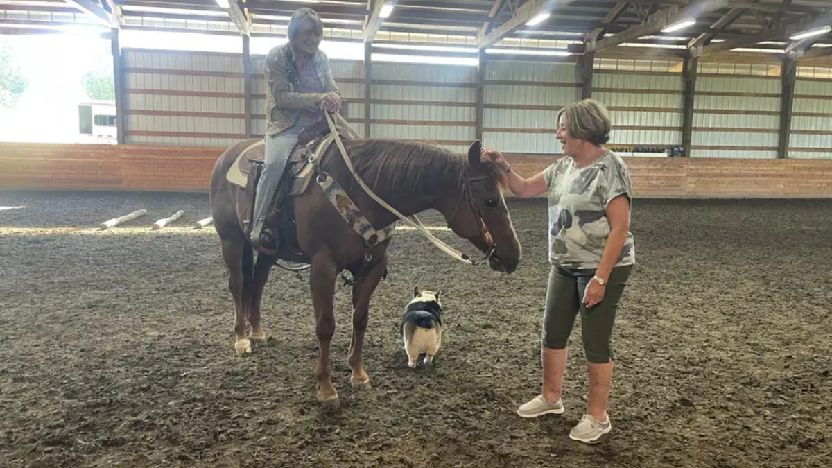 Woman on horseback in an indoor riding arena being greeted by another woman; a small dog sits nearby.