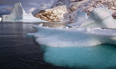 Icebergs float on turquoise water with a snow-covered mountain backdrop in a polar landscape.
