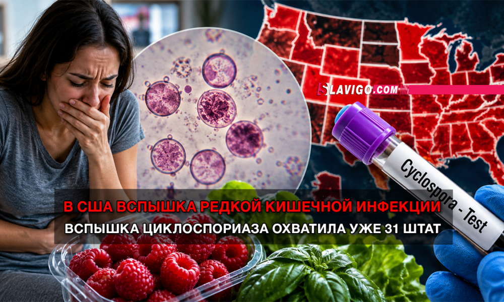 новости штата Вашингтон на slavigo.com