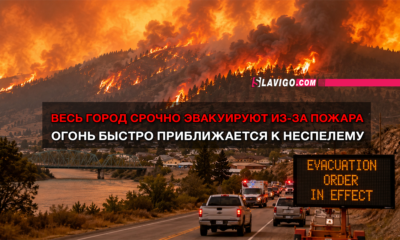 новости штата Вашингтон на slavigo.com