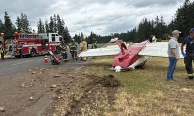 Downed red-and-white small airplane on a grassy roadside with firefighters and a fire truck nearby, debris on the road edge.