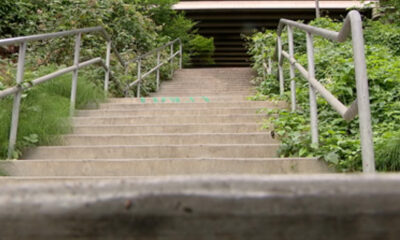 Concrete outdoor stairs with metal handrails on both sides, flanked by green plants, leading up to a dark underpass.