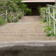 Concrete outdoor stairs with metal handrails on both sides, flanked by green plants, leading up to a dark underpass.