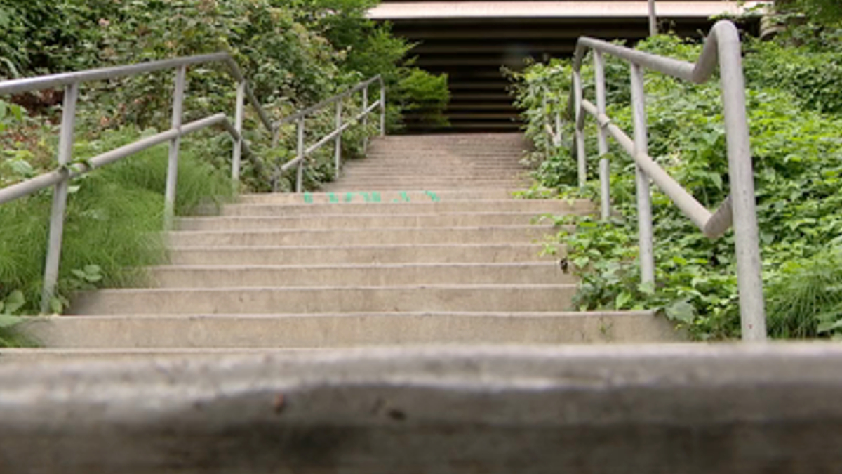 Concrete outdoor stairs with metal handrails on both sides, flanked by green plants, leading up to a dark underpass.