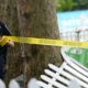 Police officer standing behind yellow caution tape at a park, securing a crime-scene area near a tree and fence pieces ahead of blue banners in the background.
