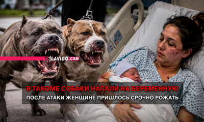 свежие новости сиетла только на slavigo.com
