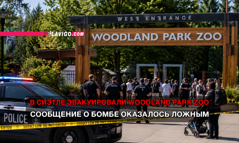 свежие новости сиетла только на slavigo.com