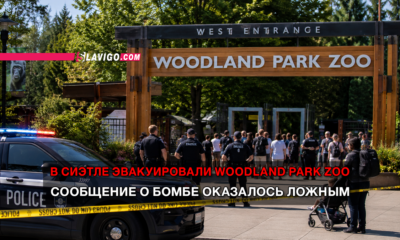 свежие новости сиетла только на slavigo.com
