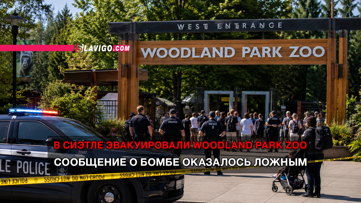 свежие новости сиетла только на slavigo.com