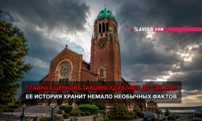 свежие новости сиетла только на slavigo.com