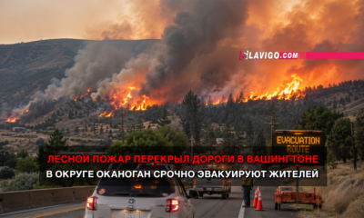 свежие новости сиетла только на slavigo.com