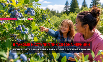 свежие новости сиетла только на slavigo.com