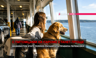 читай свежие новости Сиэтла и пригорода на slavigo.com