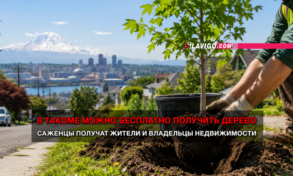 читай свежие новости Сиэтла и пригорода на slavigo.com