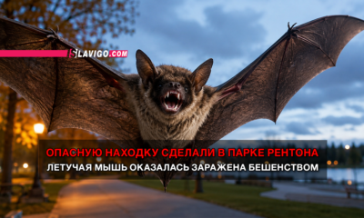 новости штата Вашингтон на slavigo.com