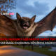 новости штата Вашингтон на slavigo.com