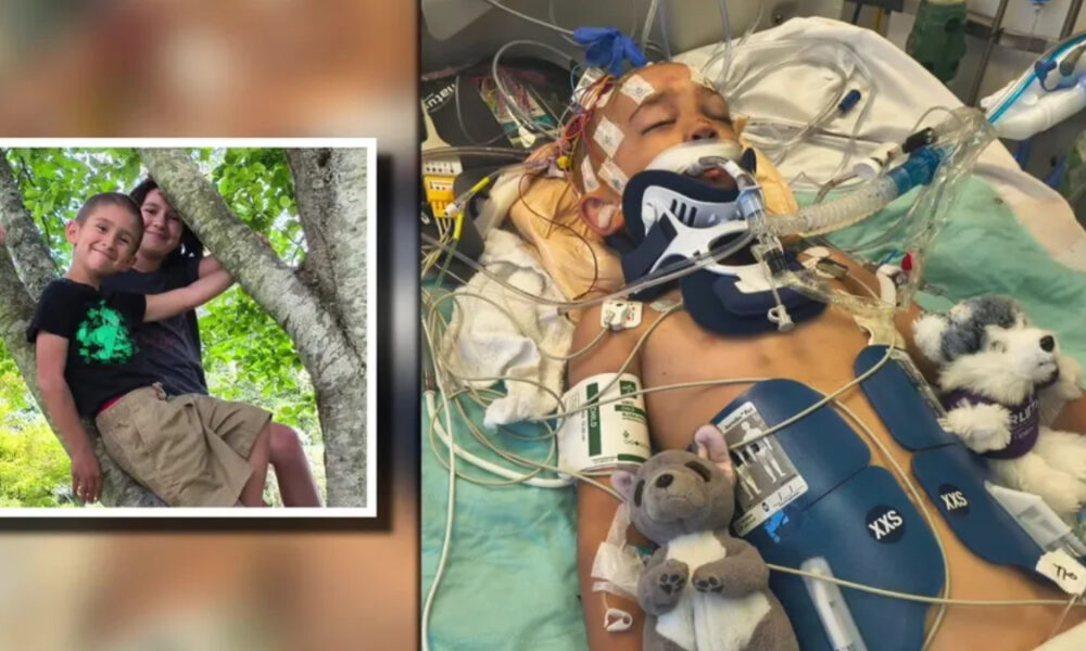 Child in intensive care with a breathing tube and neck brace, connected to monitors; a separate framed photo shows two siblings in a tree.