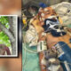 Child in intensive care with a breathing tube and neck brace, connected to monitors; a separate framed photo shows two siblings in a tree.
