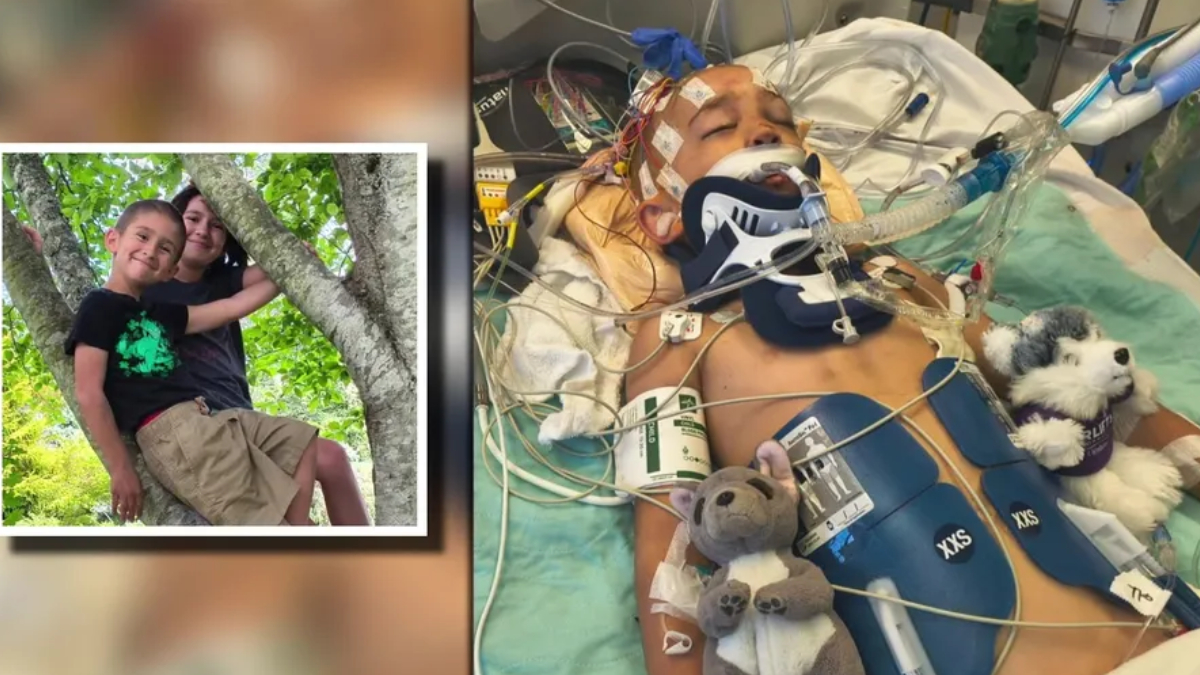 Child in intensive care with a breathing tube and neck brace, connected to monitors; a separate framed photo shows two siblings in a tree.