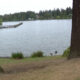 Lake scene seen between two large trees; a wooden dock extends into calm water with houses and forest in the background