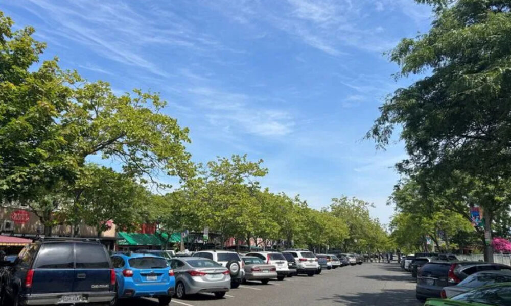Tree-lined street with numerous parked cars on both sides under a bright blue sky and scattered clouds.