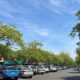 Tree-lined street with numerous parked cars on both sides under a bright blue sky and scattered clouds.