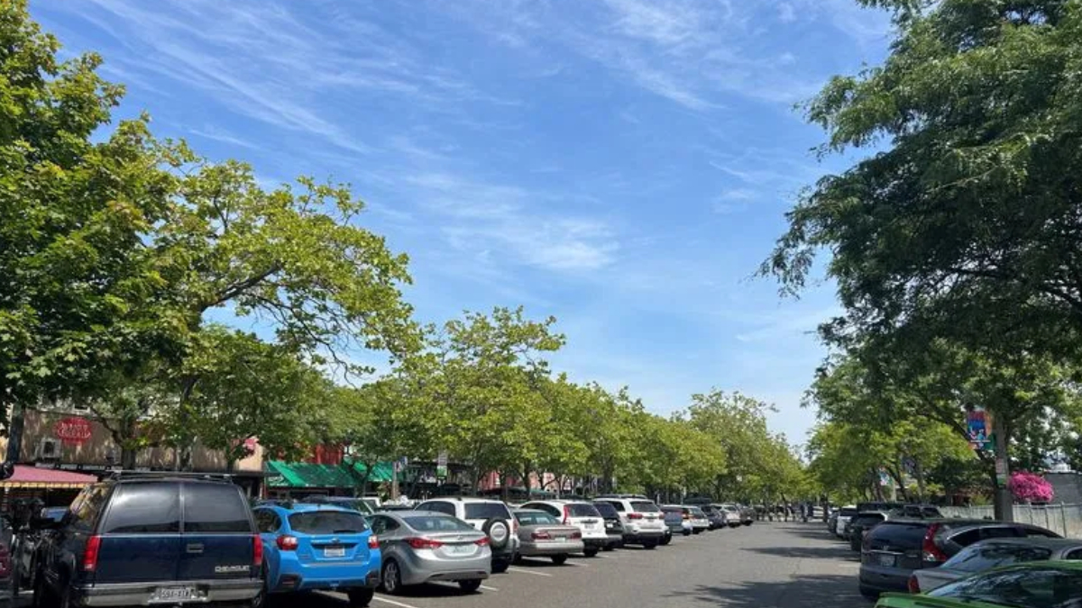 Tree-lined street with numerous parked cars on both sides under a bright blue sky and scattered clouds.