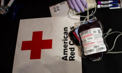 Blood donation setup: labeled blood bag with tubing on a surface beside the American Red Cross logo. Gloved hands hold the tubing nearby.