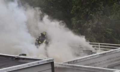 Firefighter in turnout gear on a rooftop amid thick white smoke from a fire.”, “Firefighter battles rooftop blaze, dense steam obscures view near railing.”, “Emergency responder in full gear on roof as smoke pours around.”, “Firefighter using water on a roof with heavy steam and smoke.”, “Firefighter on a flat roof with nearby trees, smoke billowing.”