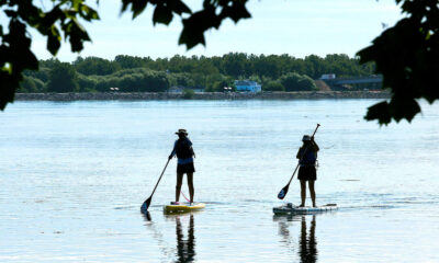 Two people stand-up paddleboarding on a calm lake with life jackets, a distant treeline, and leafy branches in the foreground.