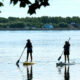 Two people stand-up paddleboarding on a calm lake with life jackets, a distant treeline, and leafy branches in the foreground.