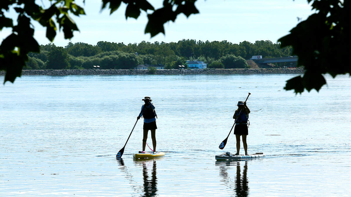 Two people stand-up paddleboarding on a calm lake with life jackets, a distant treeline, and leafy branches in the foreground.