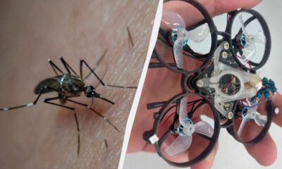 Left: close-up of a mosquito on skin, right: small quadcopter drone with exposed electronics held by fingers.