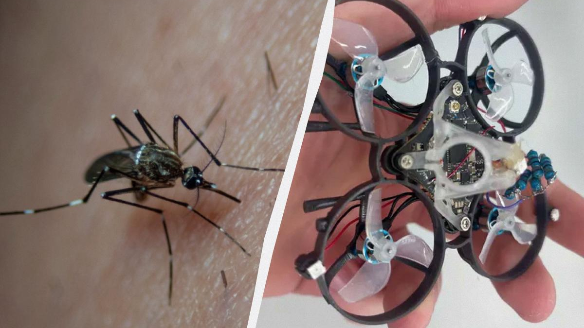 Left: close-up of a mosquito on skin, right: small quadcopter drone with exposed electronics held by fingers.