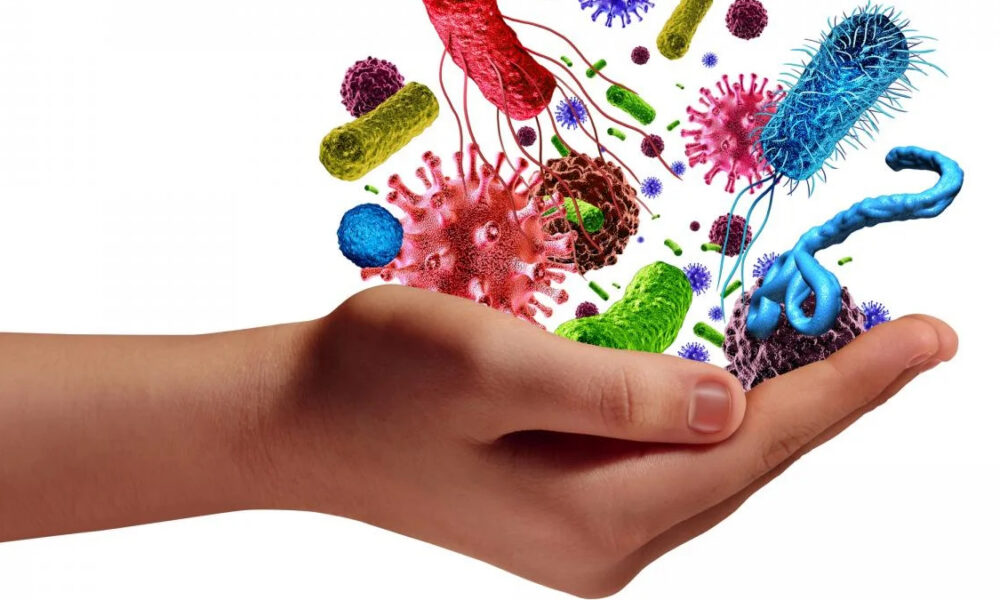 A hand cupping colorful illustrations of bacteria and viruses, representing the microbiome or immune protection.