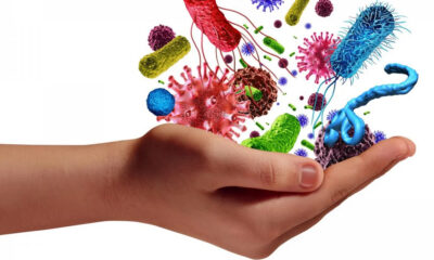 A hand cupping colorful illustrations of bacteria and viruses, representing the microbiome or immune protection.