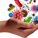 A hand cupping colorful illustrations of bacteria and viruses, representing the microbiome or immune protection.
