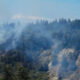 Forested hillside with smoke plumes rising from a wildfire among evergreen trees on a sunny day, blue sky above.