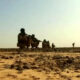 Soldiers in desert camouflage kneeling with rifles, lined up along a rocky, sunlit landscape.