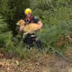 Firefighter in a yellow helmet carries a tan dog through dense brush during a rescue.