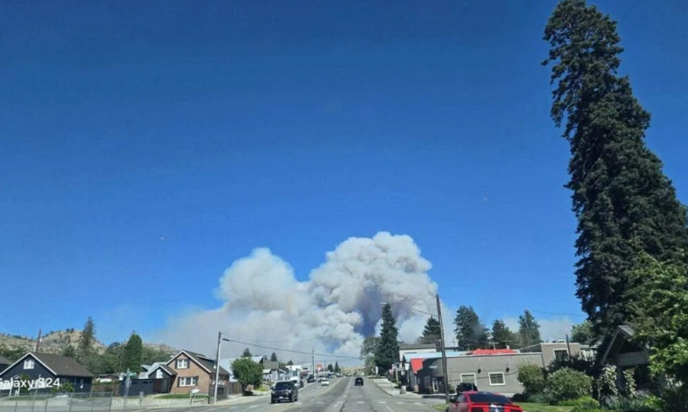 Suburban street with houses and cars as a huge white smoke plume rises from distant hills under a clear blue sky.