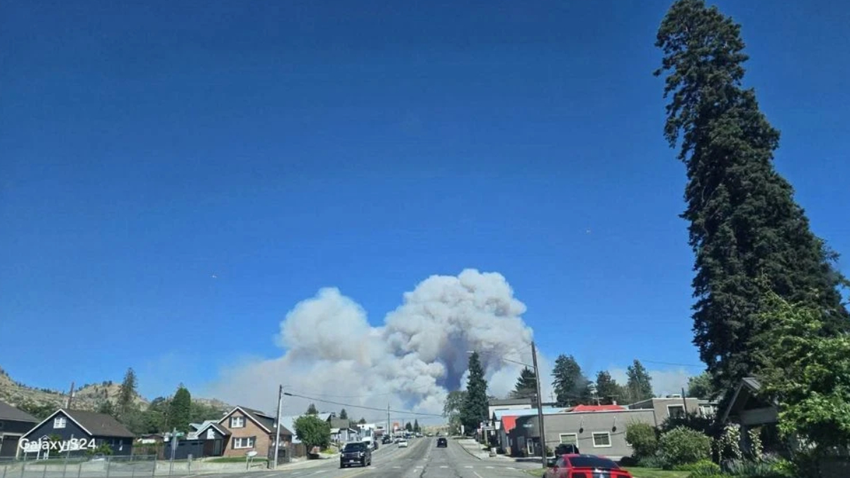Suburban street with houses and cars as a huge white smoke plume rises from distant hills under a clear blue sky.