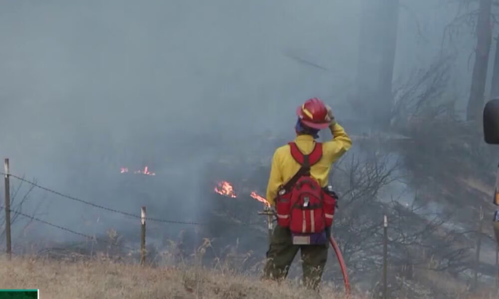 Firefighter in yellow shirt and red helmet stands amid smoke and flames on a grassy hillside, holding a hose near a fence.