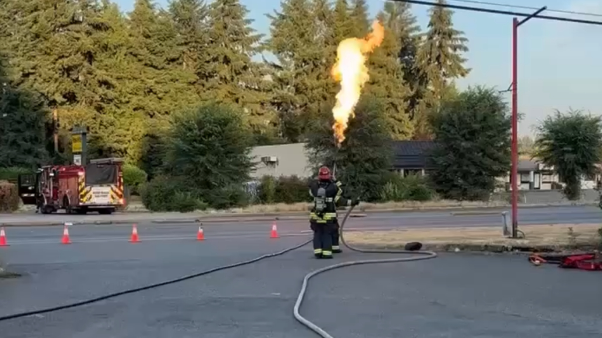 Firefighter in turnout gear aims a hose at a large flame venting from a gas line, with a fire engine and orange cones in the background.