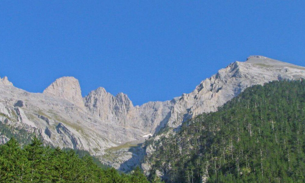 Rocky mountain peaks rise above a dense green pine forest under a bright blue sky in an alpine landscape.